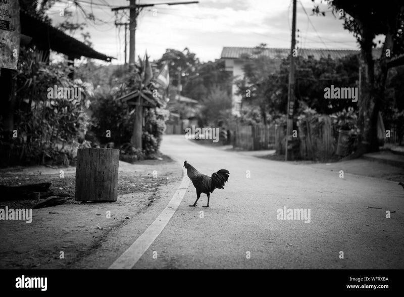 Descubre los secretos detrás del juego Chicken Road en España online Descubre los secretos detrás del juego Chicken Road en España online